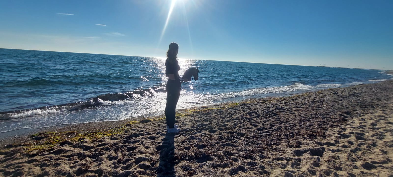 Sabrina Harder Hobby-Horse am Strand am Wasser stehend.jpeg